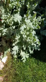 20190602_100154.jpg