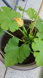 20190602_115709.webp
