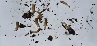 20190602_114522.jpg