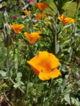 20190602_151839.jpg