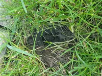 20190602_174028.webp