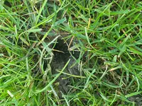 20190602_174020.webp