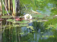 100_7621.webp
