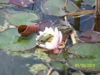 100_7626.webp