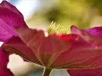 image011.webp