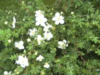 BILD1063.JPG