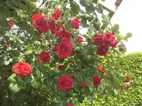 BILD1070.JPG