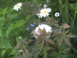 BILD1095.JPG
