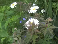 BILD1095.webp