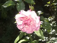 BILD1104.webp