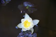 DSC07770.webp
