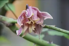 DSC07778.webp