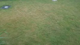 20190603_192243.webp
