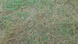 20190603_192252.webp