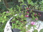 BILD1086.JPG