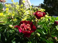 DSC00323.JPG