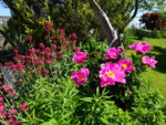 DSC00324.JPG