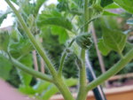 20190603_213918.jpg