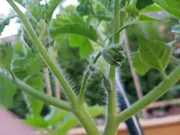20190603_213918.webp