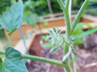 20190603_214000.webp