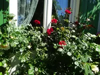 DSC00336.JPG