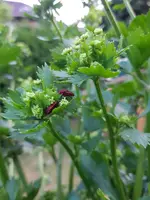 20190603_214401.webp