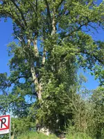 1E8141BF-ED0E-4670-992F-F4BC2E203A65.webp