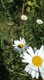 IMG_20190602_131842.webp