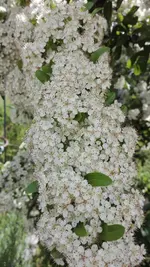 IMG_20190602_131539.webp