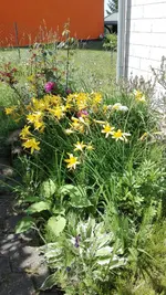 IMG_20190602_131451.webp