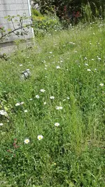 IMG_20190602_131418.webp