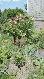 IMG_20190602_131407.webp