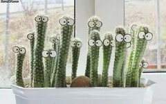 cactus_art.webp