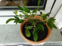 IMG_20190604_171545.webp