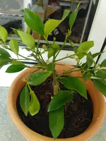 IMG_20190604_171552.webp