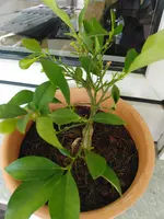 IMG_20190604_171602.webp