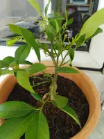 IMG_20190604_171605.webp