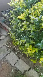 20190604_111528.webp