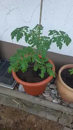 20190604_111435.webp