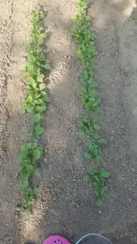 20190604_175034.webp