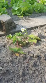 20190604_175044.webp