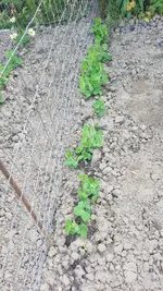 20190604_175121.webp