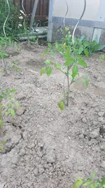 20190604_175151.webp
