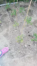 20190604_175202.webp
