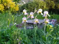 DSC00344.JPG