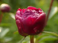 image002.webp