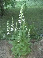 BILD1112.webp