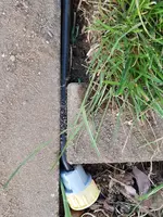 20190605_201909[1].webp