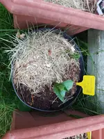 20190605_213006_019.webp
