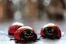 image001.webp